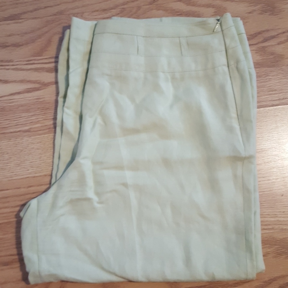 Nice Capri pants. Side zipper. Mint Green